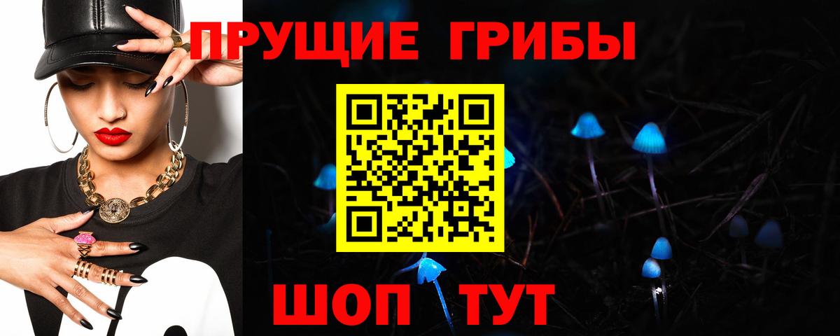 Псилоцибиновые грибы Psilocybe  купить наркотик  Вход с VPN  Ессентуки  Псилоцибиновые грибы MAGIC MUSHROOMS 
