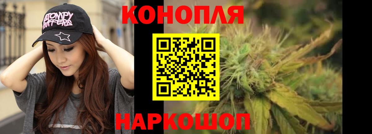 Каннабис сатива Ессентуки